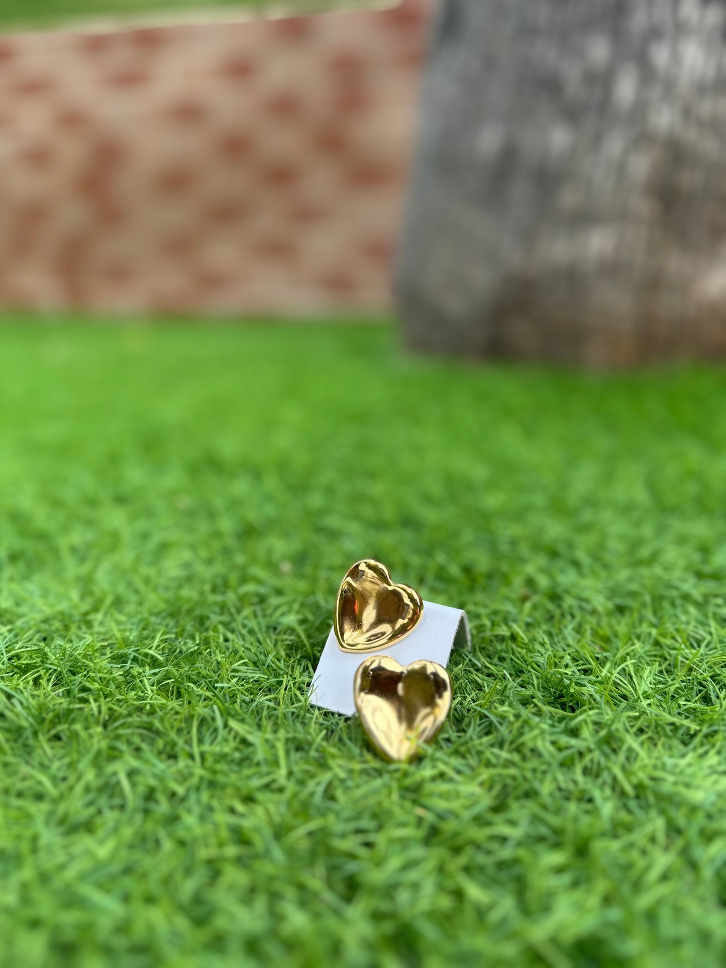 Pendientes Cora