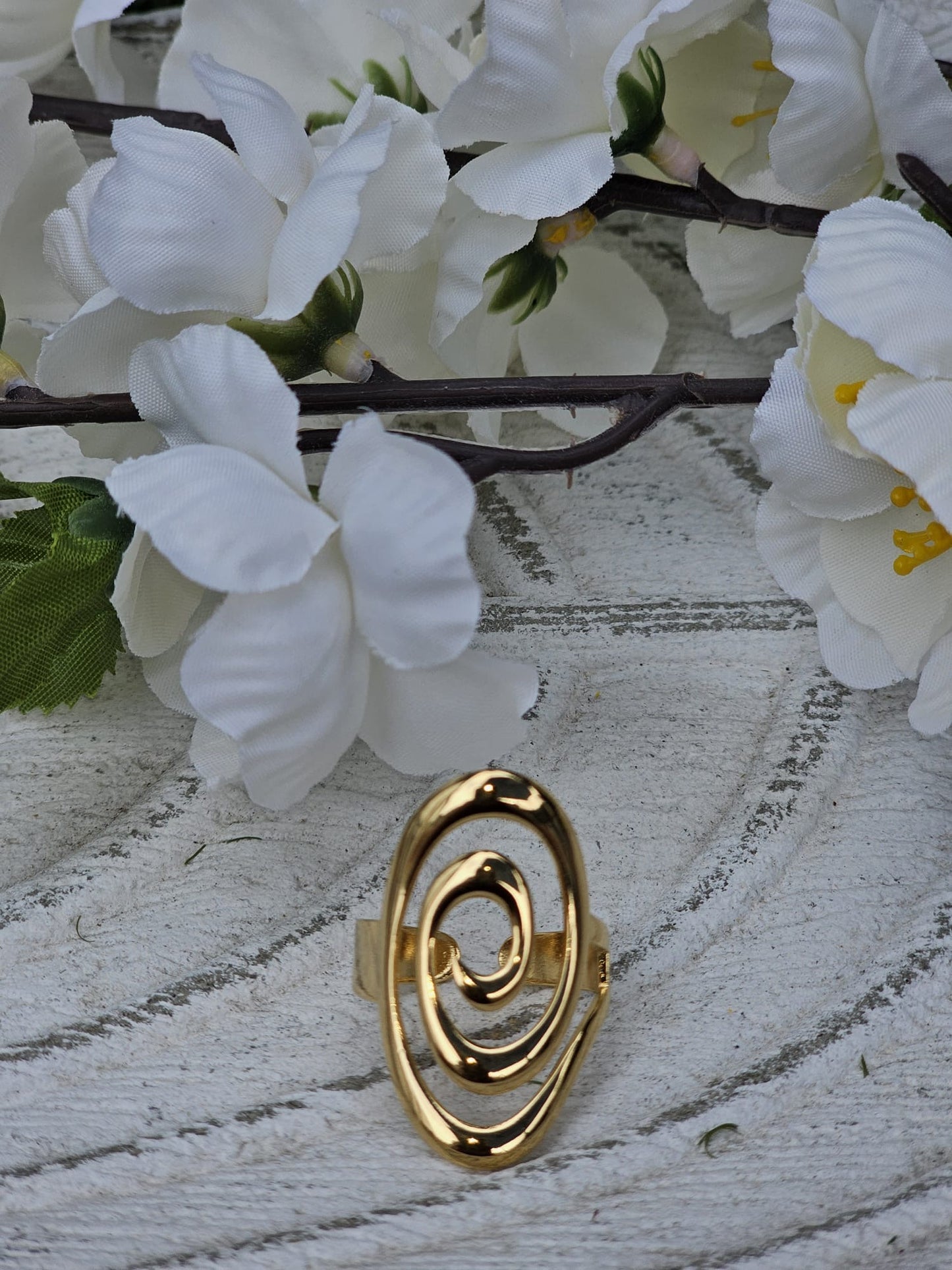 Anillo Siclo