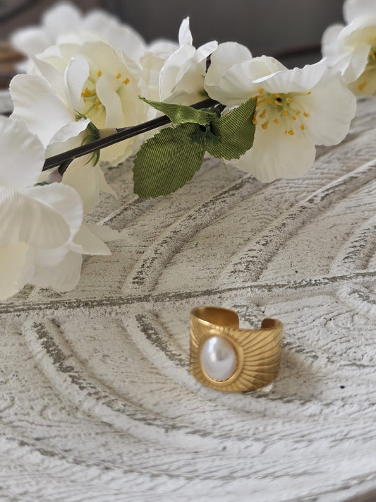 Anillo Axen