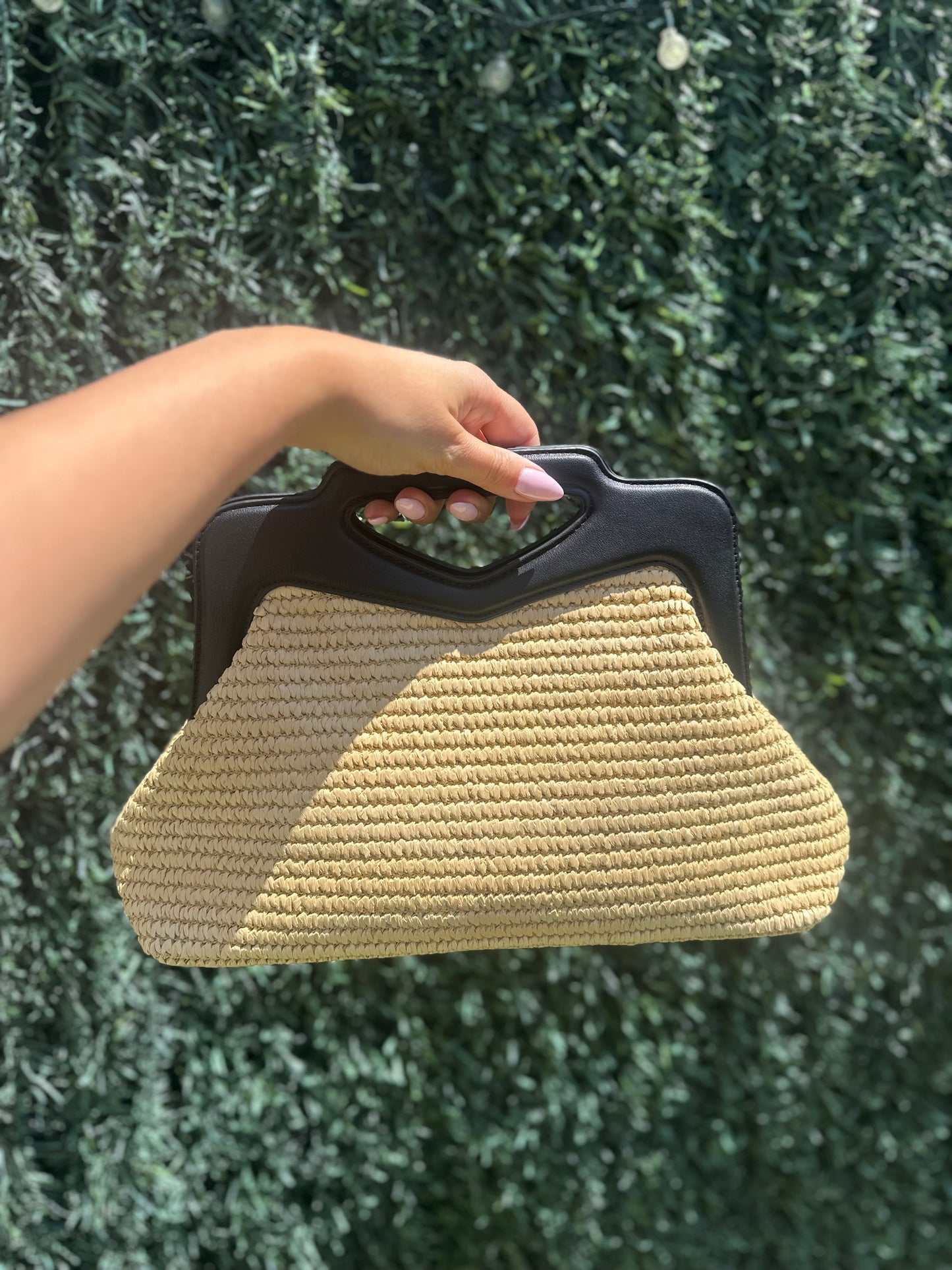 Bolso Lion