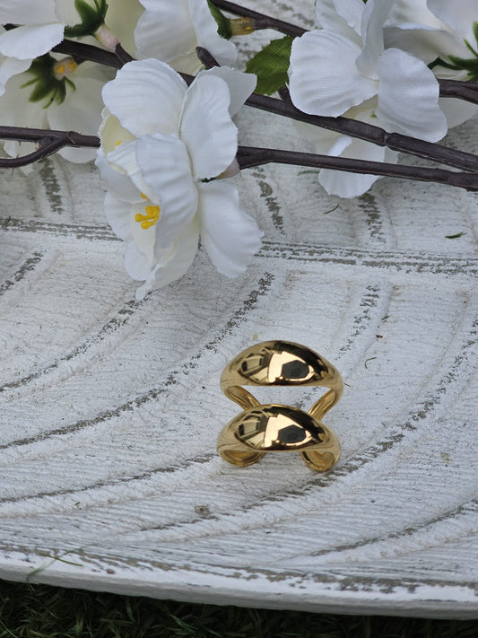Anillo Duble