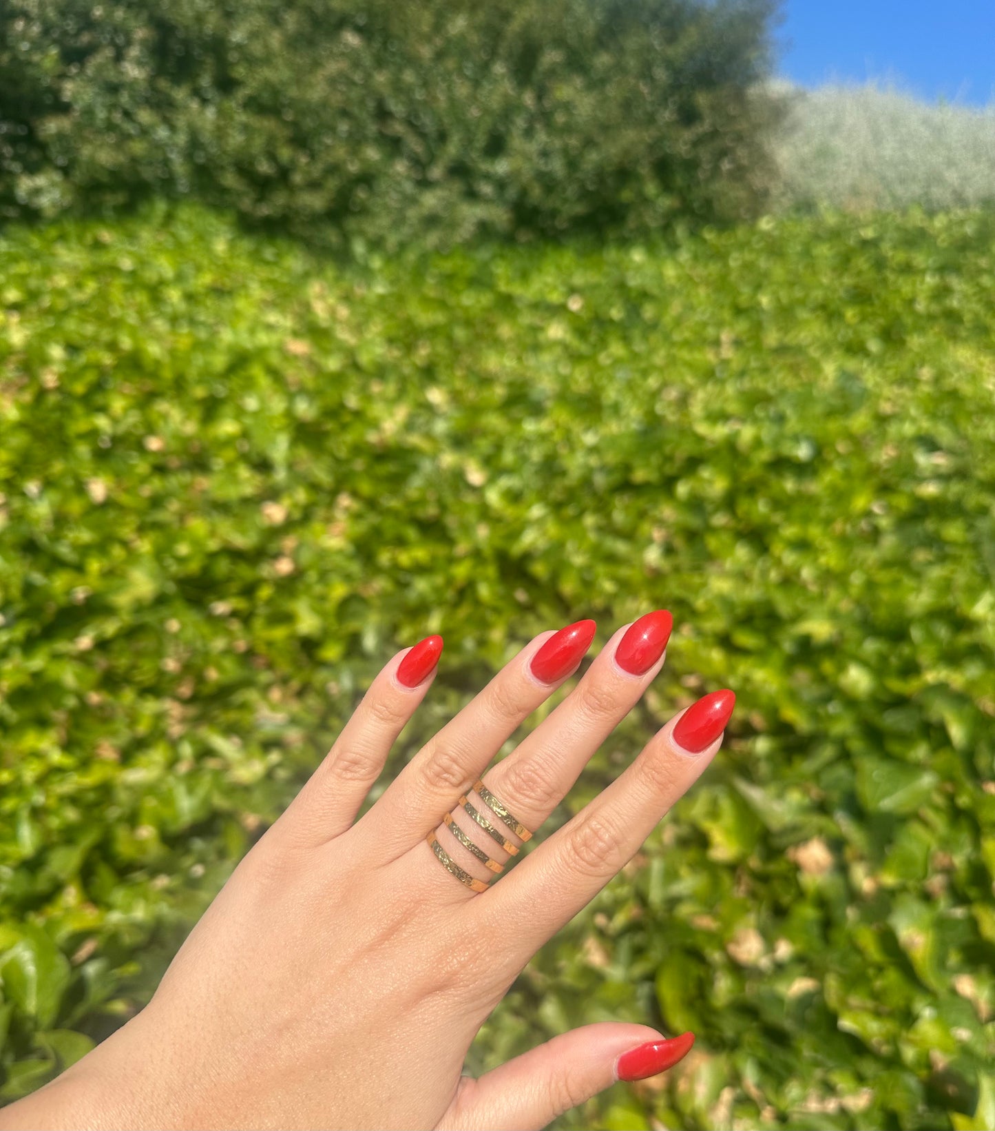 Anillo Liro