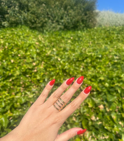 Anillo Liro
