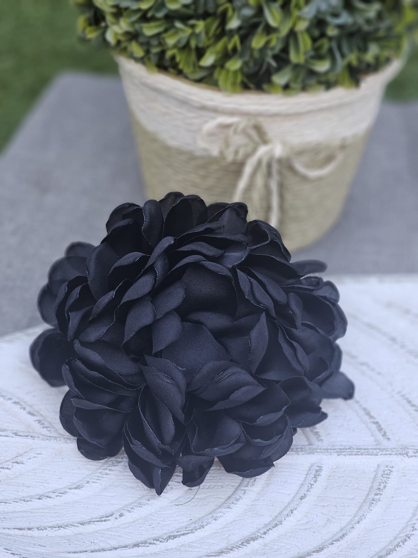 Flor Triana