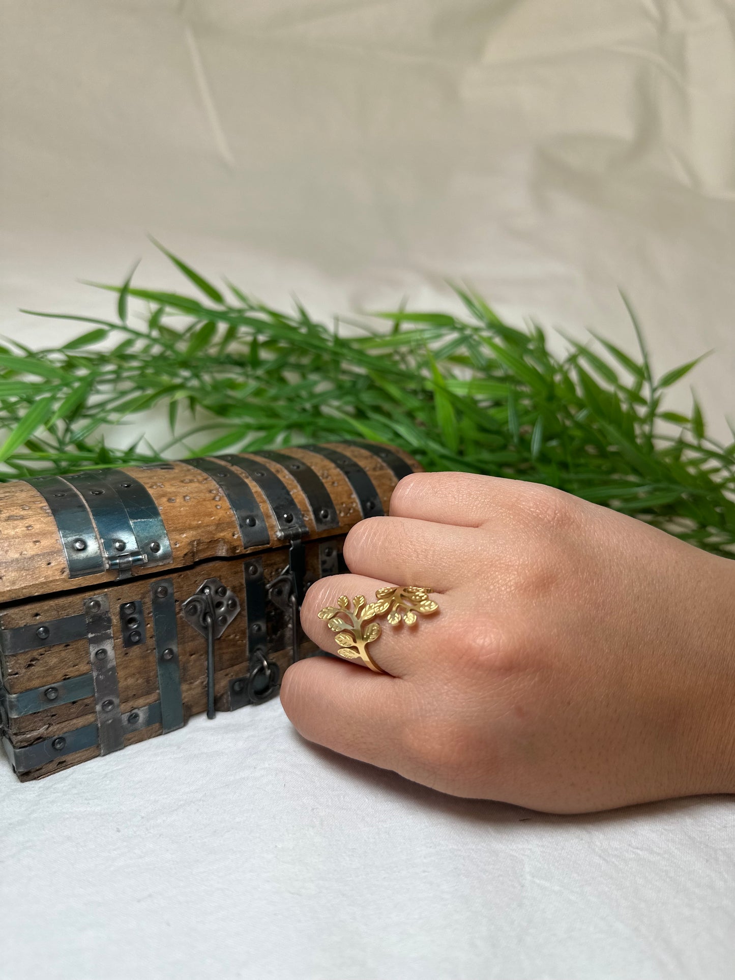 Anillo Vento