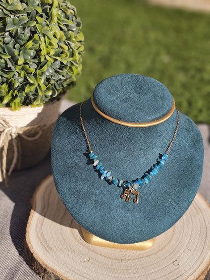 Collar Safari