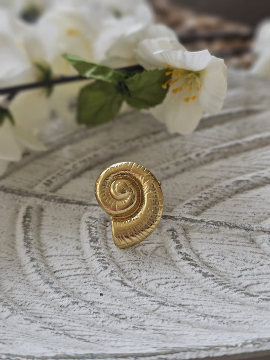 Anillo Caracola