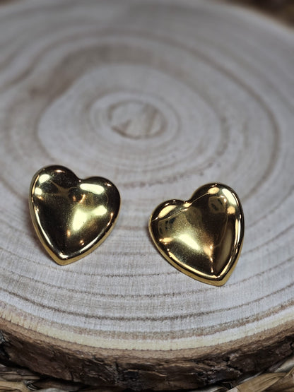 Pendientes Cora