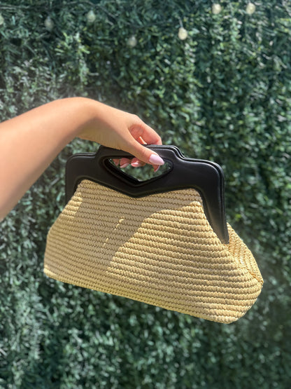 Bolso Lion
