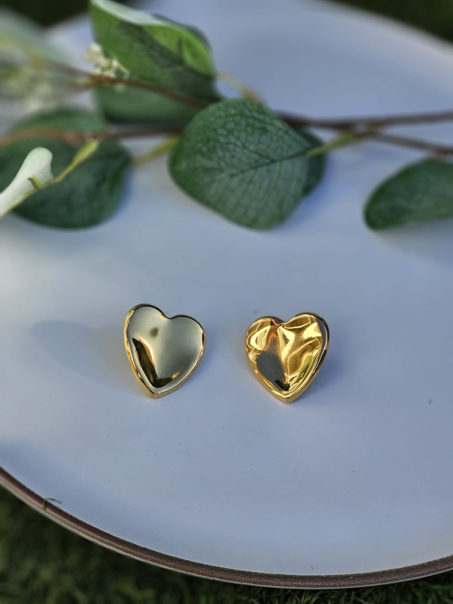 Pendientes Cora