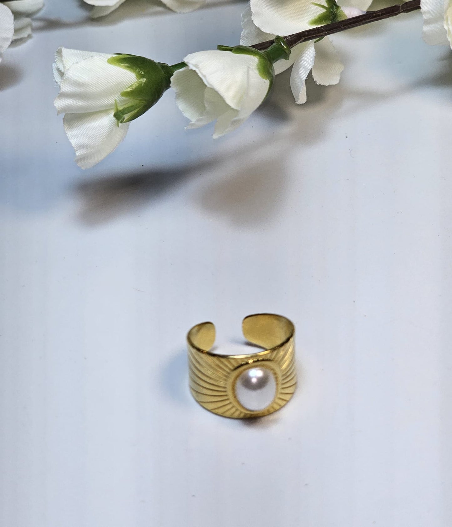Anillo Axen